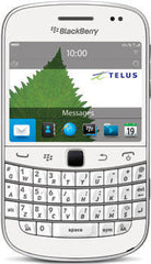 BlackBerry Bold 9900 - White