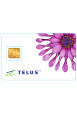 TELUS Micro SIM Card