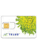 TELUS SIM Card